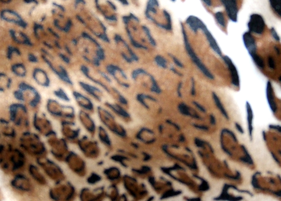 Leopard Print Party Dress