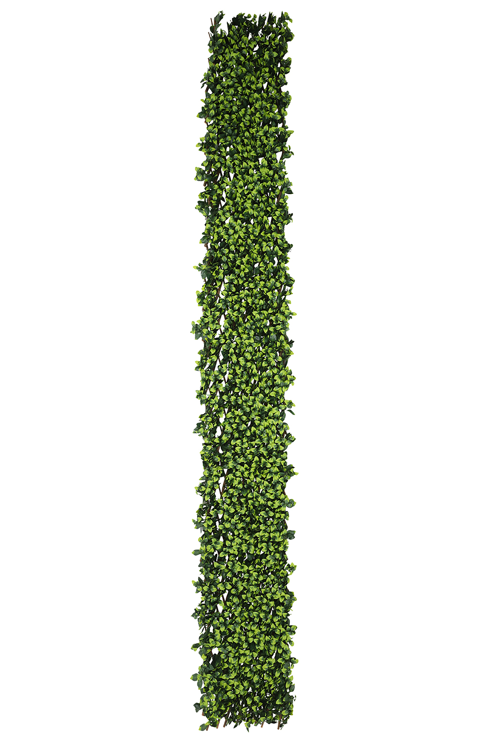 Extendable Artificial Hedging Double Ivy - Hearts & Roses London